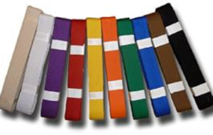 Remise Des Ceintures + AG du club